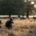 Richmond Park, London: Sunset Wildlife Photography Workshop - Detailed Breakdown of the Itinerary
