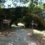 Richtis Gorge Private Guided Hiking Tour - The Journey Through Richtis Gorge