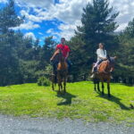 Ride A Horse To Gergeti Trinity Church And Summit A Mountain - What to Expect on This Horse Riding Tour