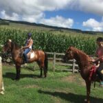 ride a volcano - go to the gardens in the woods - Who Will Love This Tour?