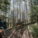 Ridge Ride 2-Hour Horseback Trail Ride in Kananaskis - Authentic Feedback from Past Riders