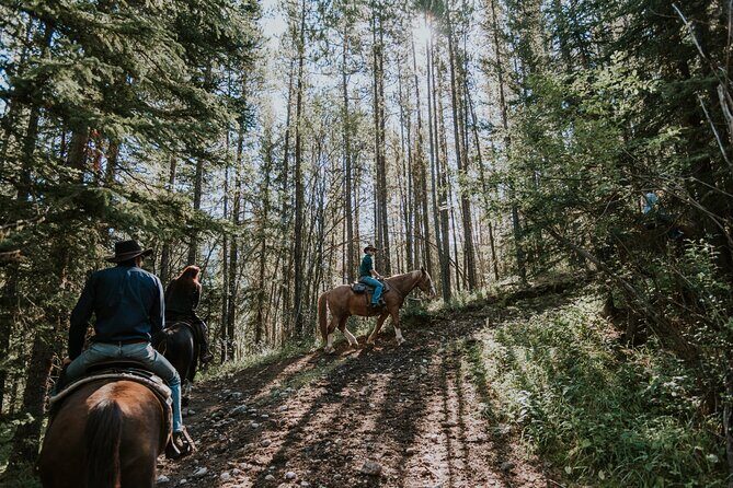 Ridge Ride 2-Hour Horseback Trail Ride in Kananaskis - Authentic Feedback from Past Riders