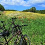 Riding to Alberobello and countryside with E-Bike - What You’ll Love About This Tour