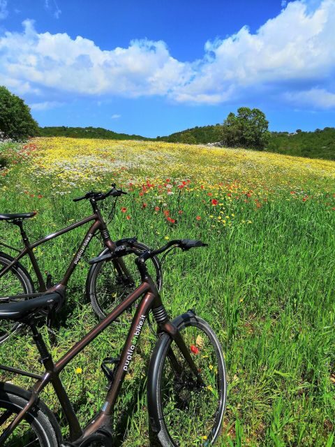 Riding to Alberobello and countryside with E-Bike - What You’ll Love About This Tour