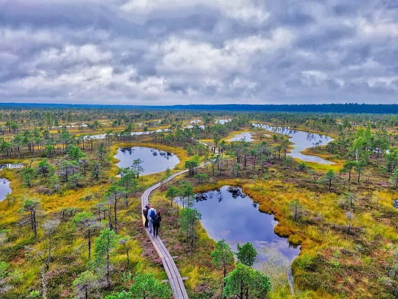 Riga: Best of Kemeri National Park In One Day - Who is This Tour Best For?