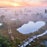 Riga: emeri Sunrise Tour with Breakfast (Group or Private) - Practical Details & Tips