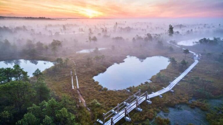 Riga: emeri Sunrise Tour with Breakfast (Group or Private) - Practical Details & Tips