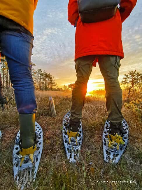 Riga: Epic Bog-Shoe Walk in Latvias Wild Nature - A Closer Look at the Experience: Pros and Cons