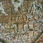 Riga: Private Sigulda, Turaida, and Gauja National Park Tour - The Value of This Tour