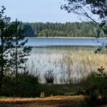Riga: Seaside Nature Park Walk with a Local Photographer - What Makes the Photography Part Special?