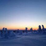 Riisitunturi National Park Guided Hike - Inside the Tour: What to Expect