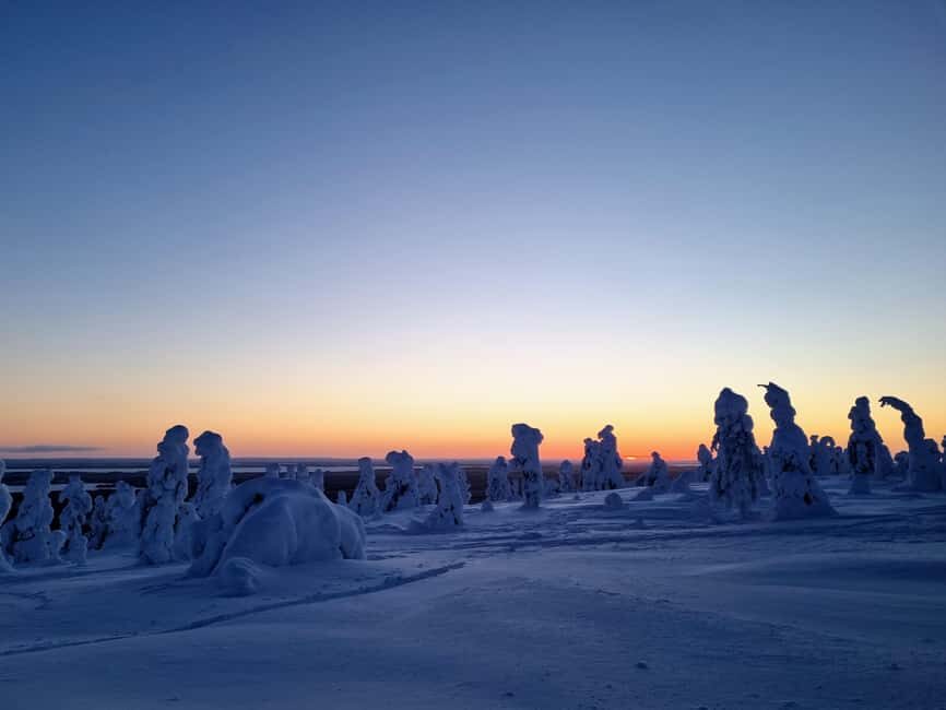 Riisitunturi National Park Guided Hike - Inside the Tour: What to Expect