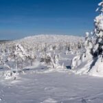 Riisitunturi National Park Hike - Who Will Love This Tour?