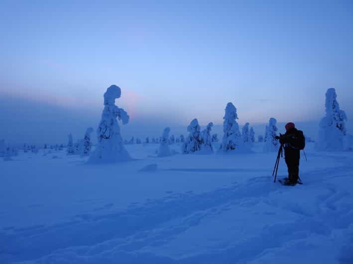 Riisitunturi National Park Private Snowshoe Adventure - Taking a Break: Campfire and Crepes