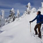 Riisitunturi National Park Snowshoe Experience - Who Guides the Tour?