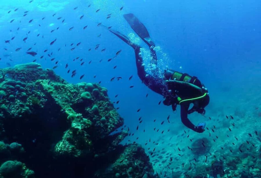 Rijeka Croatia: Come explore the amazing Croatian sea with us! - What Makes This Snorkeling Tour Stand Out?