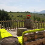 Rimini: San Valentino DOC Wine Tastings - What the Experience Looks Like: A Closer Look