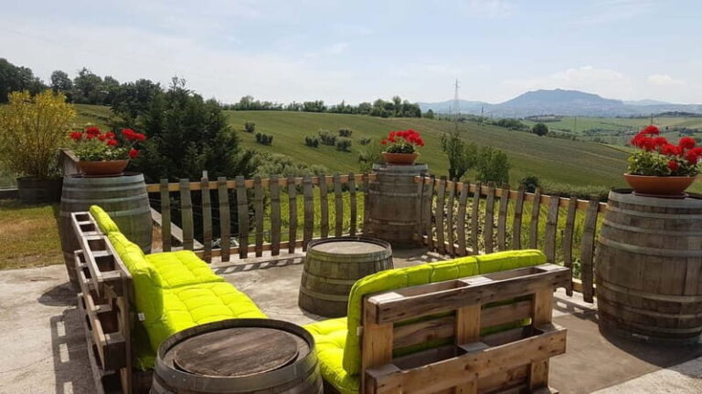 Rimini: San Valentino DOC Wine Tastings - What the Experience Looks Like: A Closer Look