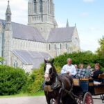 Ring Of Kerry Private Luxury Tour - What Travelers Say and Why It Matters