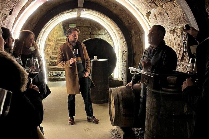 Rioja Day Tour: Explore Three Wineries with Tastings - Final Thoughts: Who Is This Tour Best For?