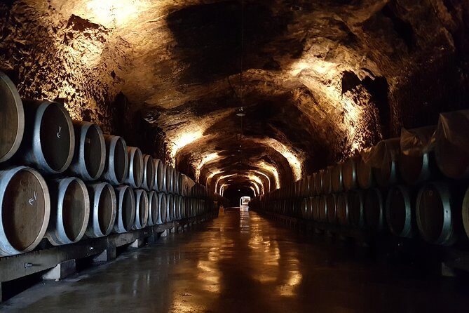 Rioja Full Experience Tour from San Sebastian with Lunch - What to Expect from the Rioja Full Experience Tour