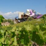 Rioja Wine Tour: Winery & Traditional Lunch From Pamplona - Price and Value