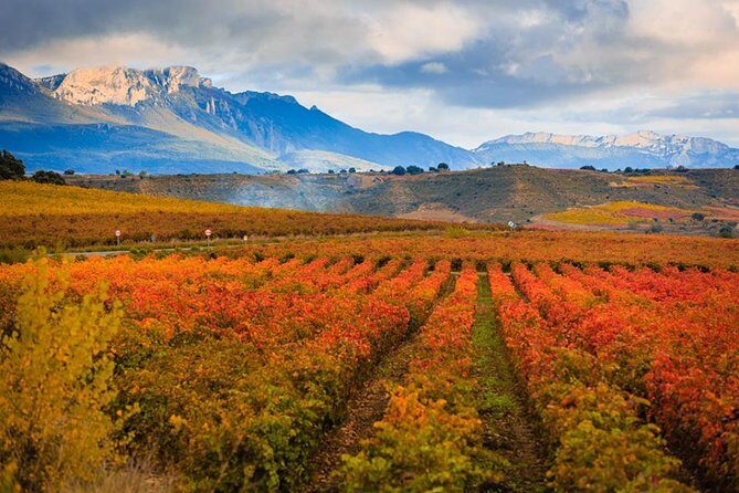 Rioja Wine Tour - Exploring the Itinerary in Detail