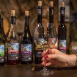 Riomaggiore: Vineyard & Wine Cellar Tour with Wine Tasting - Practical Considerations