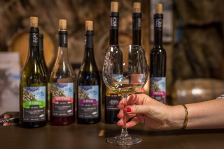 Riomaggiore: Vineyard & Wine Cellar Tour with Wine Tasting - Practical Considerations