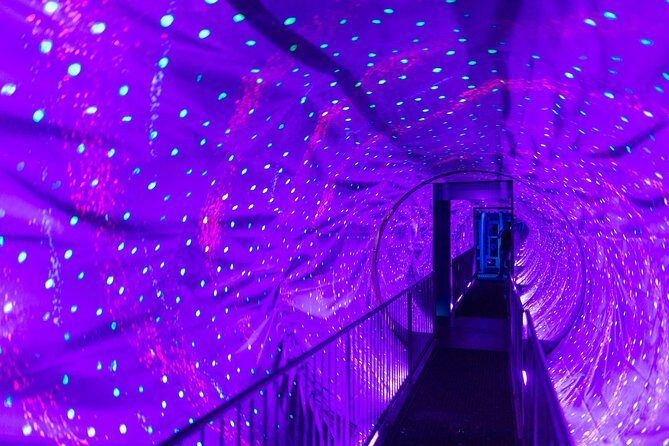 Ripley's Believe It or Not Amsterdam & 1-Hour Canal Cruise - Practical Details