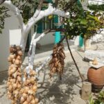 Riverbank Adventure in Naxos (Kinidaros - Eggares) - Who Should Consider This Tour?