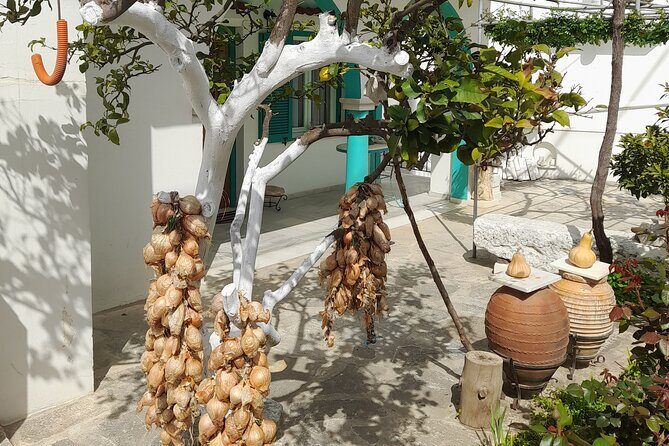 Riverbank Adventure in Naxos (Kinidaros - Eggares) - Who Should Consider This Tour?