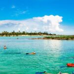 Riviera Maya Snorkeling Adventure: Lagoon, Cenotes Open & Cavern - Real Traveler Insights