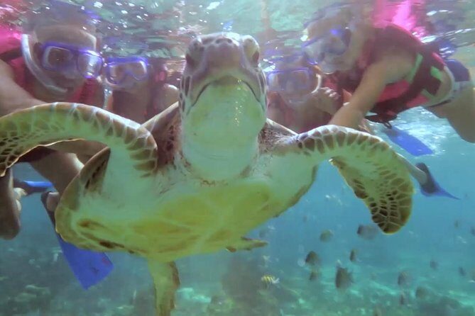 Riviera Maya Snorkeling - The Value of the Tour