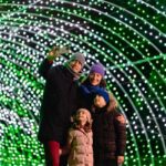 Rixensart: Garden of Lights Entry Ticket - Who Will Enjoy This?