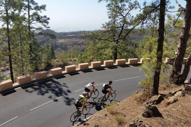 Road Cycling Tenerife - Teide Route - What’s Included and What to Expect