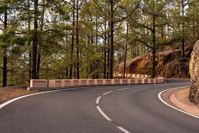 Road Cycling Tenerife - Vilaflor Route - Price and Value