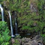 Road to Hana Deluxe Rainforest & Waterfall Experience from Maui - FAQ