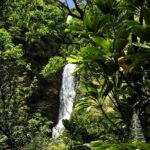 Road to Hana Luxury Limo-Van Tour with Helicopter Flight - Who Should Book This Tour?