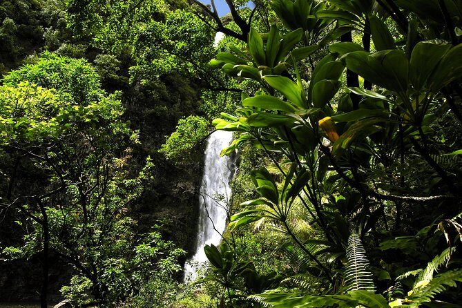 Road to Hana Luxury Limo-Van Tour with Helicopter Flight - Who Should Book This Tour?