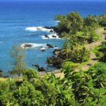 Road to Hana Tour with Lunch and Pickup - What Travelers Are Saying