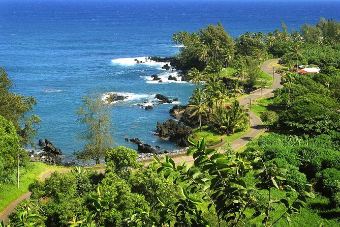 Road to Hana Tour with Lunch and Pickup - What Travelers Are Saying