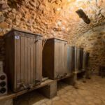 Roccantica: Guided Tour of the Organic Farm with Aperitif - Who Will Love This Experience?