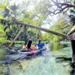 Rock Springs 2-Hour Glass Bottom Guided Kayak Eco Tour - The Route and Experience Breakdown