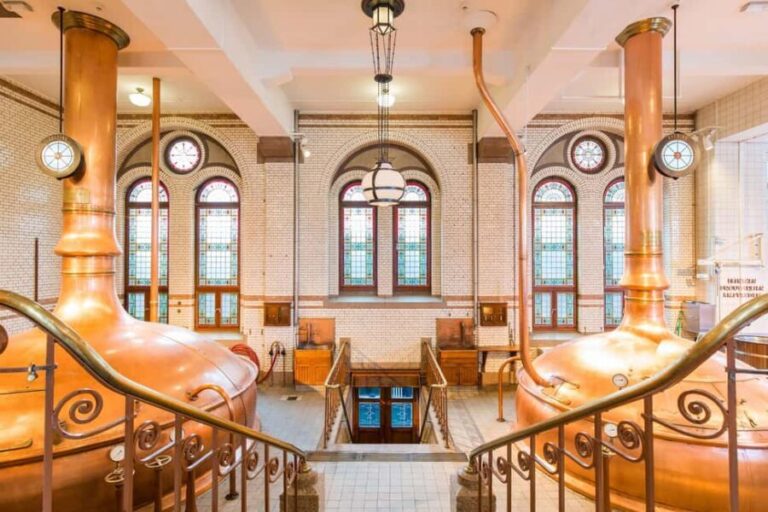 Rock the City - Cruise & Optional Heineken Experience - Who Is This Tour Best Suited For?