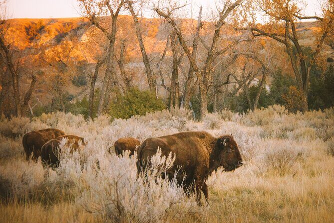 Rocky Mountain Escape - FAQ