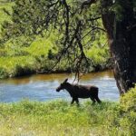 Rocky Mountain National Park and Estes Park Tour from Denver Winter and Spring - Who Will Love This Tour?