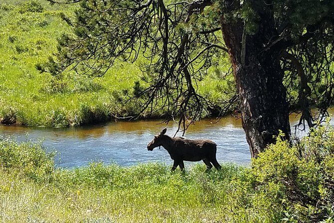 Rocky Mountain National Park and Estes Park Tour from Denver Winter and Spring - Who Will Love This Tour?