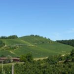 Roero: Wine Tasting Tour at Historic Family Winery - Final Thoughts