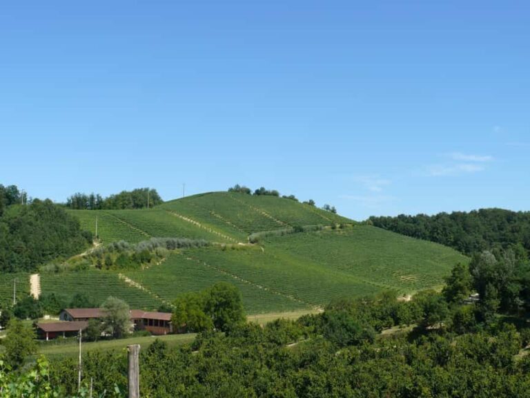 Roero: Wine Tasting Tour at Historic Family Winery - Final Thoughts